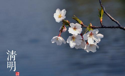 清明高梁谷雨谷,立夏芝麻小满黍。(图1)